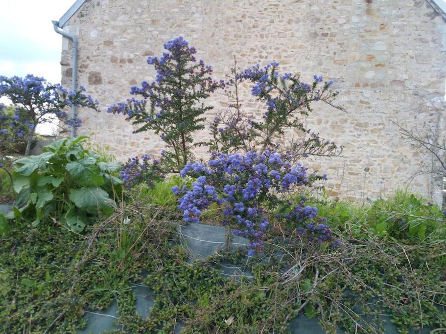 Gouville-sur-Mer Maison Bord De Mer Individuel מראה חיצוני תמונה